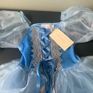 Trish Scully Child Platinum dress collection limited edition size 2. Never worn.